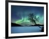 Aurora Borealis over Sandvannet Lake in Troms County, Norway-Stocktrek Images-Framed Photographic Print