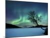 Aurora Borealis over Sandvannet Lake in Troms County, Norway-Stocktrek Images-Mounted Photographic Print