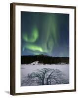 Aurora Borealis Over Sandvannet Lake in Troms County, Norway-Stocktrek Images-Framed Photographic Print