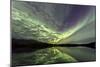 Aurora Borealis over Schwatka Lake, Yukon, Canada-null-Mounted Photographic Print