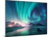 Aurora Borealis over the Sea, Snowy Mountains and City Lights at Night. Northern Lights in Lofoten-Denis Belitsky-Mounted Photographic Print