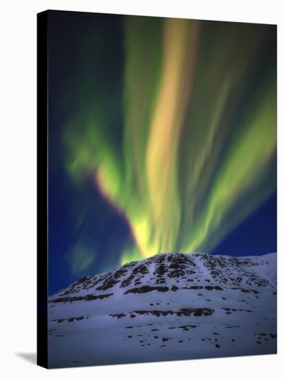 Aurora Borealis over Toviktinden Mountain in Troms County, Norway-Stocktrek Images-Stretched Canvas