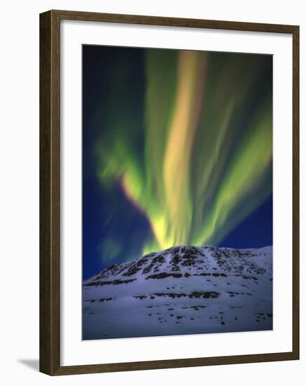 Aurora Borealis over Toviktinden Mountain in Troms County, Norway-Stocktrek Images-Framed Photographic Print