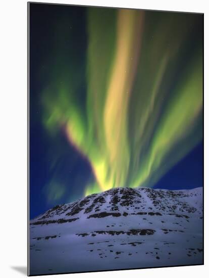 Aurora Borealis over Toviktinden Mountain in Troms County, Norway-Stocktrek Images-Mounted Photographic Print