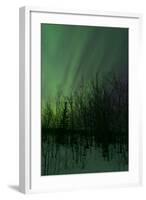 Aurora Borealis over Trees, Yukon, Canada-null-Framed Photographic Print