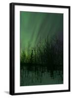 Aurora Borealis over Trees, Yukon, Canada-null-Framed Photographic Print