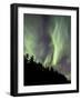 Aurora Borealis over Trees, Yukon, Canada-null-Framed Photographic Print