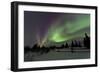 Aurora Borealis over Trees, Yukon, Canada-null-Framed Photographic Print