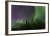 Aurora Borealis over Trees, Yukon, Canada-null-Framed Photographic Print