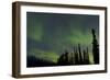 Aurora Borealis over Trees, Yukon, Canada-null-Framed Photographic Print