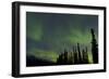 Aurora Borealis over Trees, Yukon, Canada-null-Framed Photographic Print