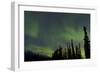 Aurora Borealis over Trees, Yukon, Canada-null-Framed Photographic Print