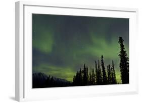 Aurora Borealis over Trees, Yukon, Canada-null-Framed Photographic Print