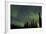 Aurora Borealis over Trees, Yukon, Canada-null-Framed Photographic Print