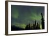 Aurora Borealis over Trees, Yukon, Canada-null-Framed Photographic Print