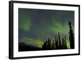 Aurora Borealis over Trees, Yukon, Canada-null-Framed Photographic Print