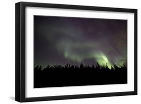 Aurora Borealis over Trees, Yukon, Canada-null-Framed Photographic Print