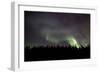 Aurora Borealis over Trees, Yukon, Canada-null-Framed Photographic Print