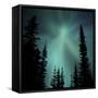 Aurora Borealis Showing Radial Effect-Mark Taylor-Framed Stretched Canvas