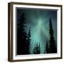 Aurora Borealis Showing Radial Effect-Mark Taylor-Framed Photographic Print