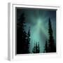 Aurora Borealis Showing Radial Effect-Mark Taylor-Framed Photographic Print