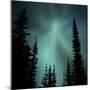 Aurora Borealis Showing Radial Effect-Mark Taylor-Mounted Photographic Print