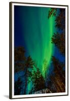 Aurora Borealis (The Northern Lights) over Kakslauttanen Igloo West Village, Saariselka, Finland-Laura Grier-Framed Premium Photographic Print