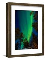 Aurora Borealis (The Northern Lights) over Kakslauttanen Igloo West Village, Saariselka, Finland-Laura Grier-Framed Photographic Print