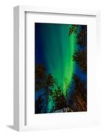 Aurora Borealis (The Northern Lights) over Kakslauttanen Igloo West Village, Saariselka, Finland-Laura Grier-Framed Photographic Print