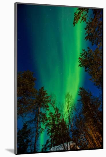 Aurora Borealis (The Northern Lights) over Kakslauttanen Igloo West Village, Saariselka, Finland-Laura Grier-Mounted Photographic Print