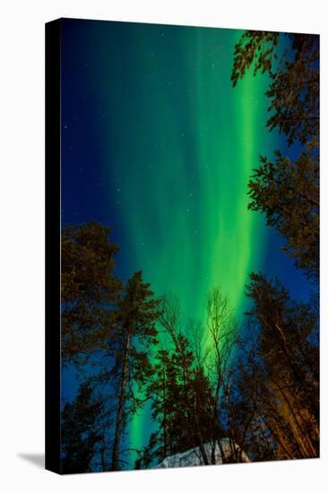 Aurora Borealis (The Northern Lights) over Kakslauttanen Igloo West Village, Saariselka, Finland-Laura Grier-Stretched Canvas