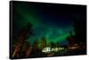 Aurora Borealis (The Northern Lights) over Kakslauttanen Igloo West Village, Saariselka, Finland-Laura Grier-Framed Stretched Canvas