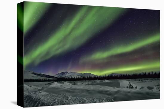 Aurora Borealis V-Larry Malvin-Stretched Canvas