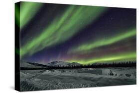 Aurora Borealis V-Larry Malvin-Stretched Canvas