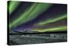 Aurora Borealis V-Larry Malvin-Stretched Canvas