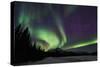 Aurora Borealis VI-Larry Malvin-Stretched Canvas