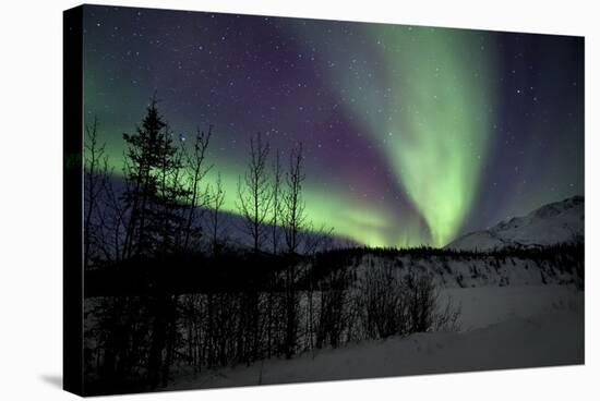 Aurora Borealis VII-Larry Malvin-Stretched Canvas