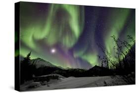 Aurora Borealis VIII-Larry Malvin-Stretched Canvas
