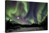 Aurora Borealis VIII-Larry Malvin-Stretched Canvas