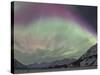 Aurora Borealis, Wrangell Mountains, Alaska, USA-Hugh Rose-Stretched Canvas