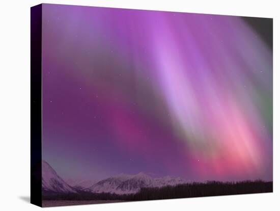 Aurora Borealis, Wrangell Mountains, Alaska, USA-Hugh Rose-Stretched Canvas