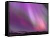 Aurora Borealis, Wrangell Mountains, Alaska, USA-Hugh Rose-Framed Stretched Canvas