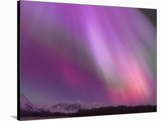 Aurora Borealis, Wrangell Mountains, Alaska, USA-Hugh Rose-Stretched Canvas