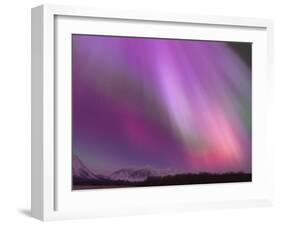 Aurora Borealis, Wrangell Mountains, Alaska, USA-Hugh Rose-Framed Premium Photographic Print