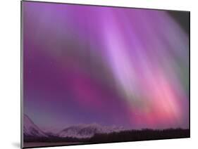 Aurora Borealis, Wrangell Mountains, Alaska, USA-Hugh Rose-Mounted Premium Photographic Print