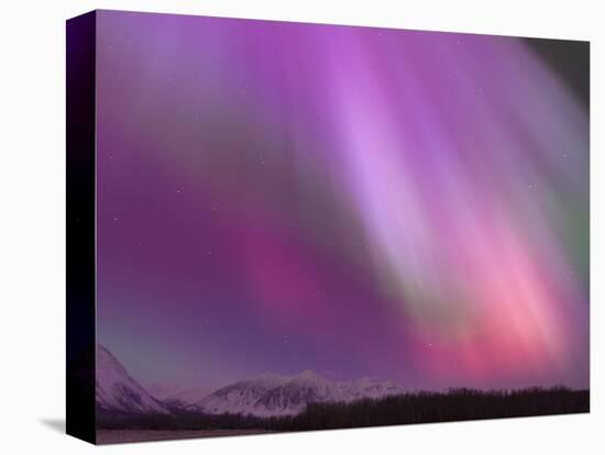 Aurora Borealis, Wrangell Mountains, Alaska, USA-Hugh Rose-Stretched Canvas