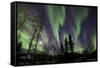 Aurora Borealis X-Larry Malvin-Framed Stretched Canvas