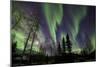 Aurora Borealis X-Larry Malvin-Mounted Photographic Print