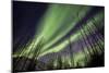 Aurora Borealis XI-Larry Malvin-Mounted Photographic Print