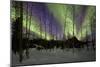 Aurora Borealis XII-Larry Malvin-Mounted Photographic Print